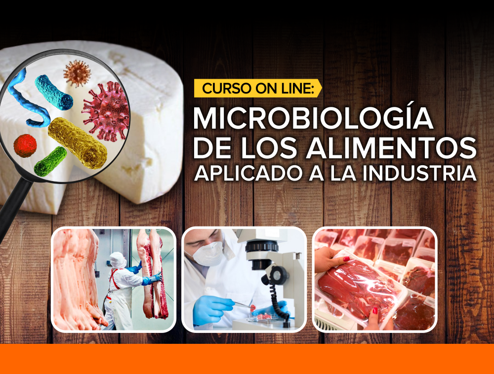Curso On Line: Microbiología de los Alimentos Aplicado a la Industria