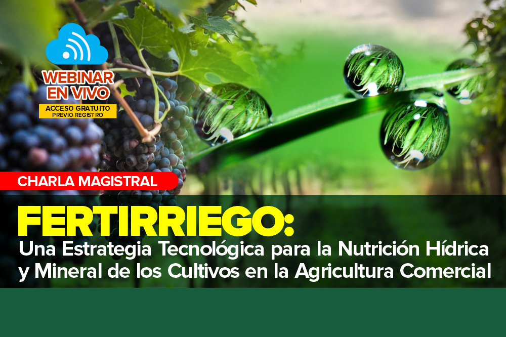 Fertirriego como Estrategia Tecnológica para la Nutrición Hídrica y Mineral de los Cultivos en la Agricultura Comercial