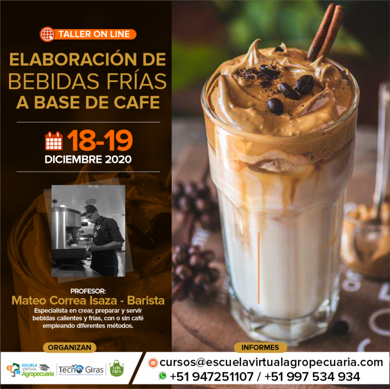 Curso Taller Online Elaboración de bebidas frías a base