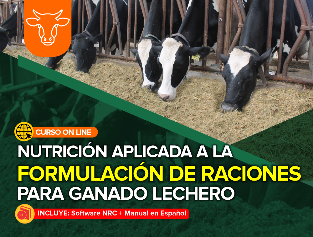Curso On Line: Nutrición Aplicada a la Formulación de Raciones para Ganado Lechero + Software