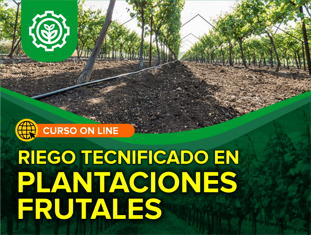 Curso On Line: Riego Tecnificado en Plantaciones Frutales