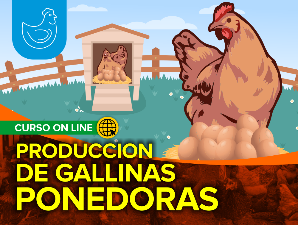 Curso On Line: Producción de Gallinas Ponedoras 2021