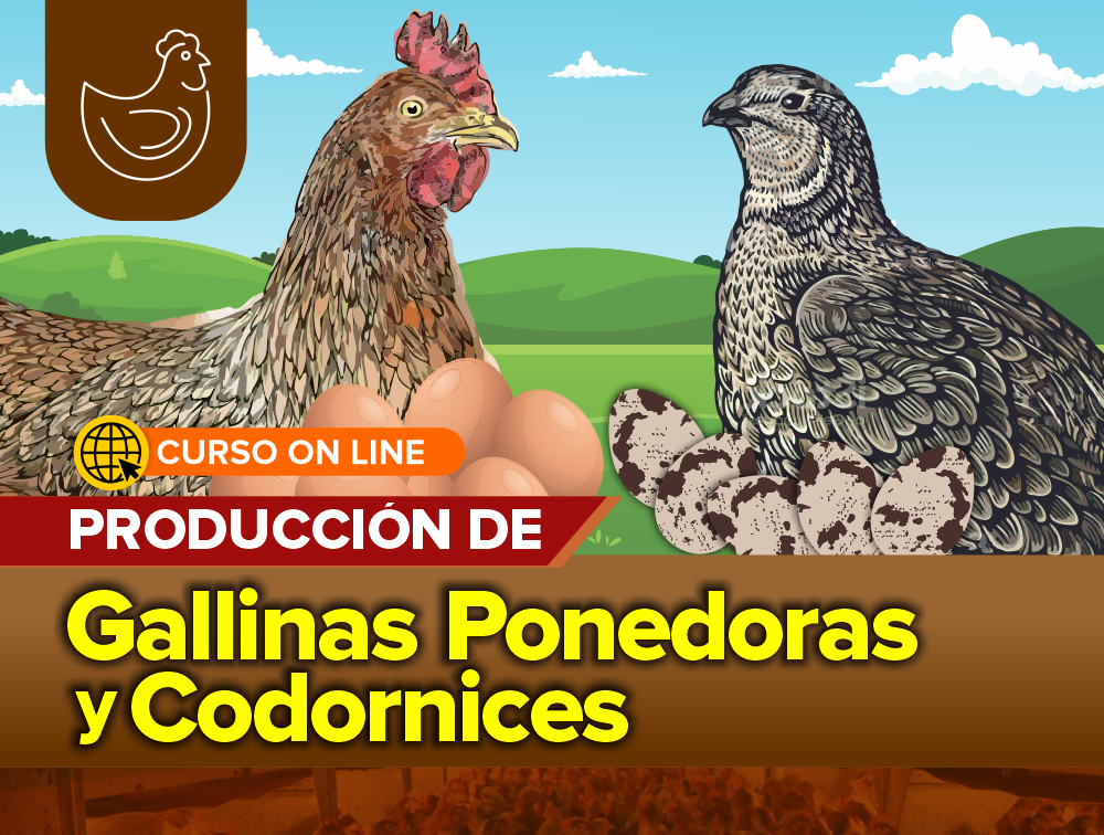 Curso On Line: Producción de Gallinas Ponedoras y Codornices