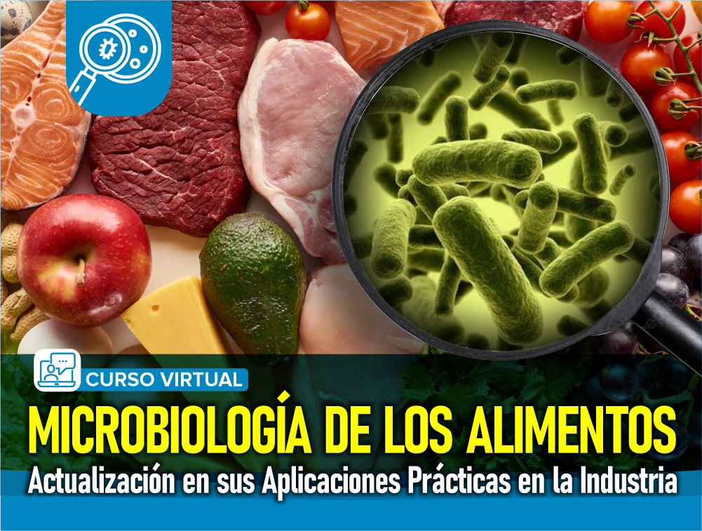 Curso Virtual: Microbiología de los Alimentos – Actualización en sus Aplicaciones Prácticas en la Industria