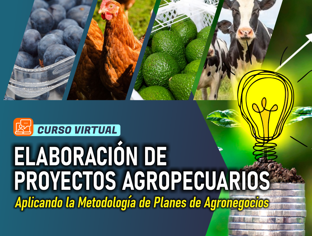Curso Virtual: Elaboración de Proyectos Agropecuarios – aplicando la metodología de Planes de Agronegocios