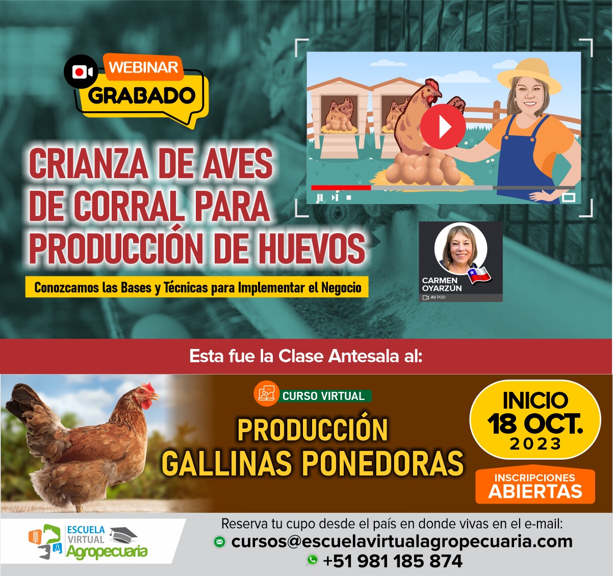 Videoconferencia: Crianza de Aves de Corral para Producción de Huevos