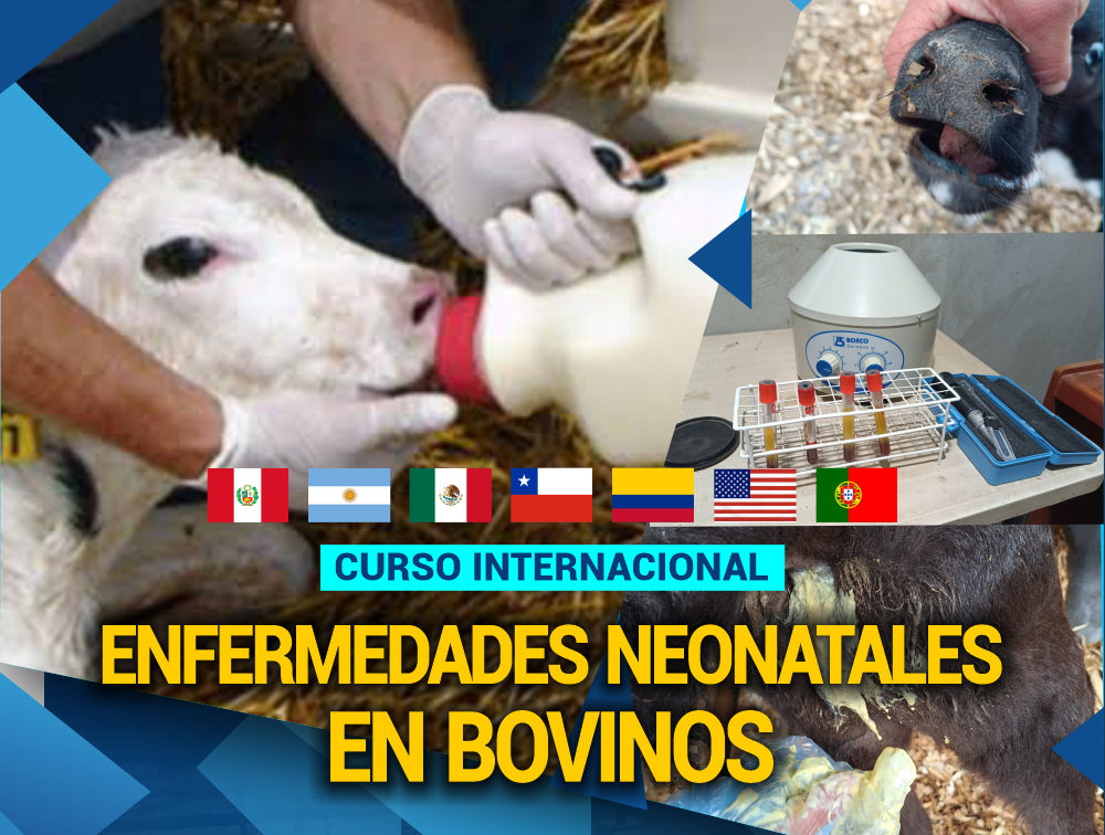 Curso Internacional: Enfermedades Neonatales en Bovinos