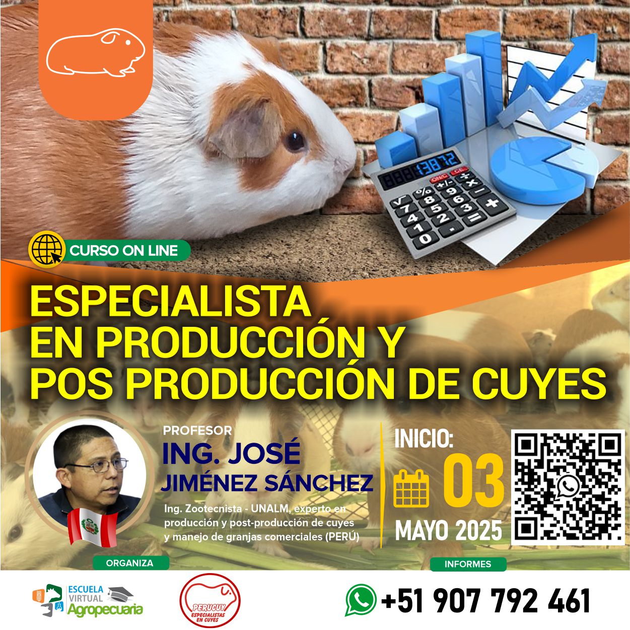 Curso Virtual: Especialista en Producción y Pos Producción de Cuyes