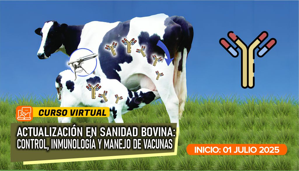 Curso Virtual: Actualización en Sanidad Bovina – Control, Inmunología y Manejo de Vacunas