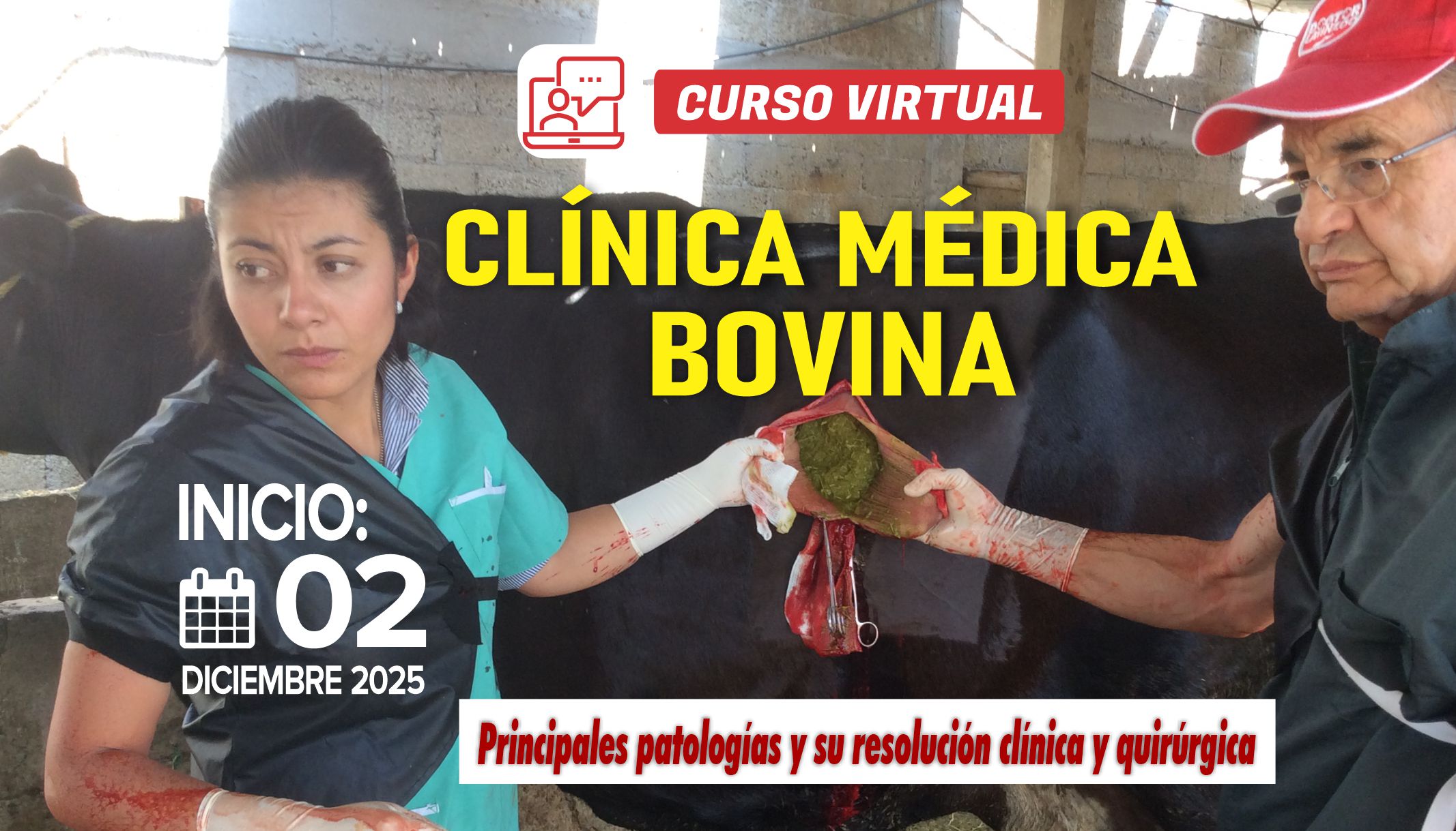 Curso Virtual: Clínica Médica Bovina 2025/2026