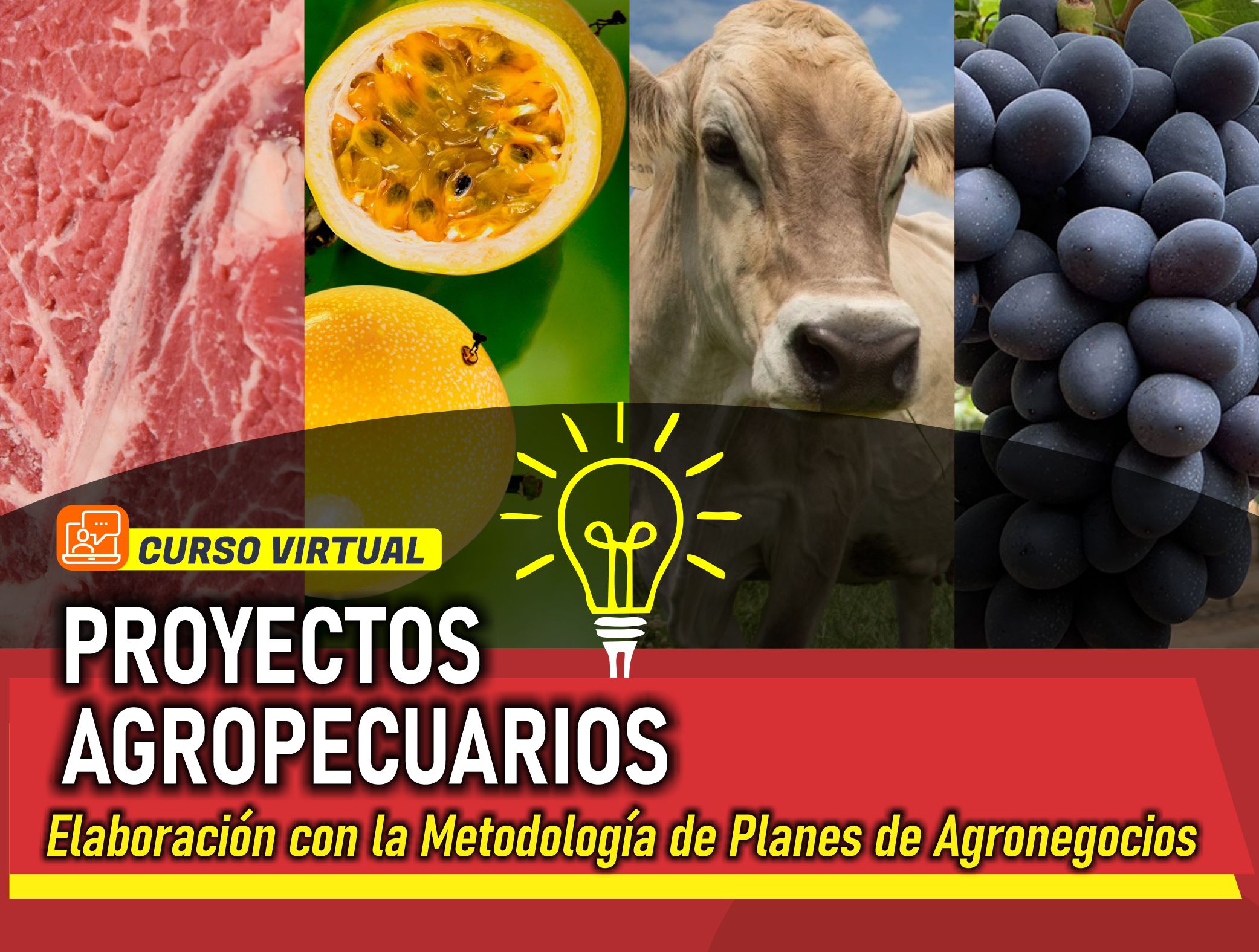 Curso Virtual: Proyectos Agropecuarios – elaboración con la metodología de planes de agronegocios