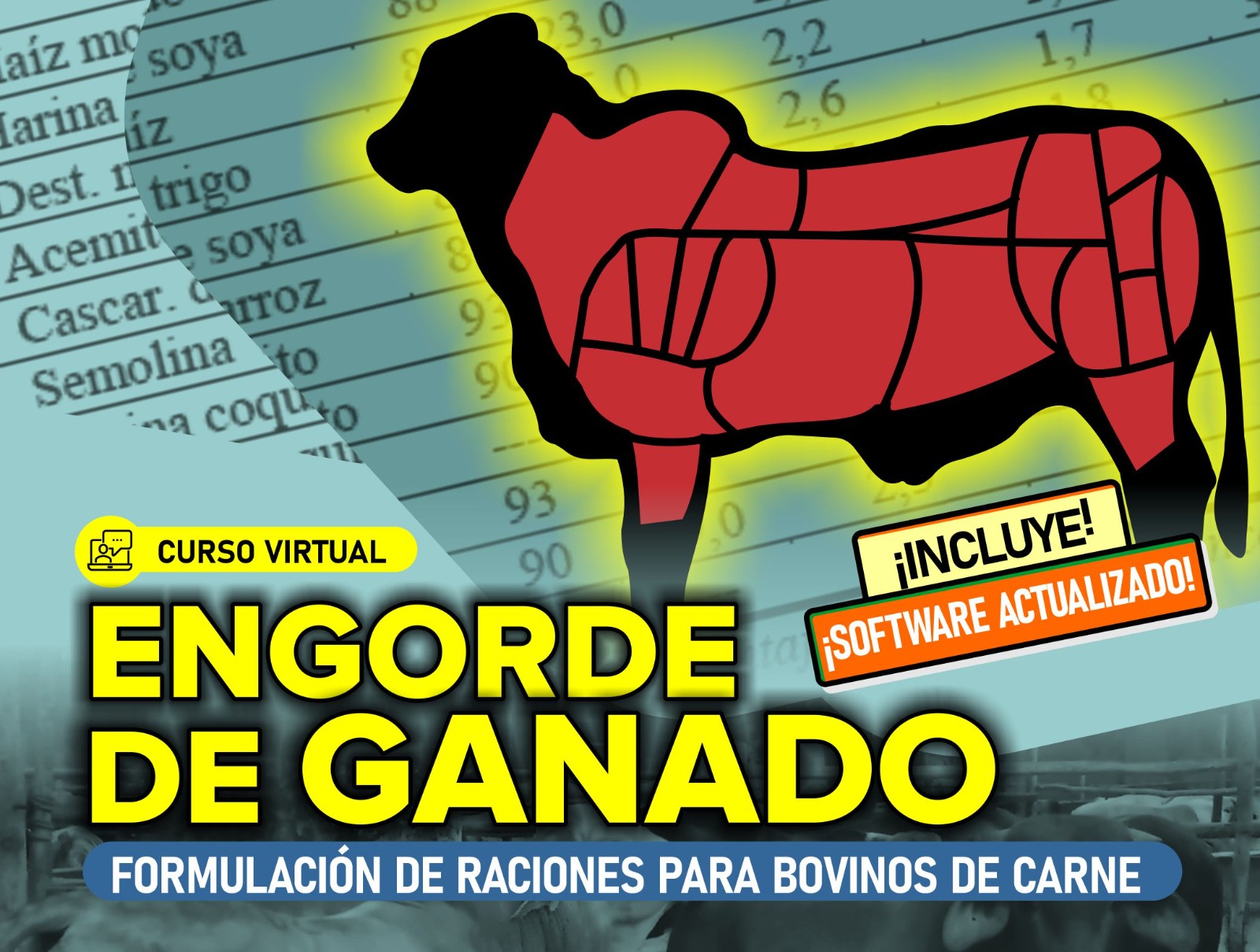 Curso Virtual: Engorde de Ganado – Formulación de Raciones para Bovinos de Carne 2026