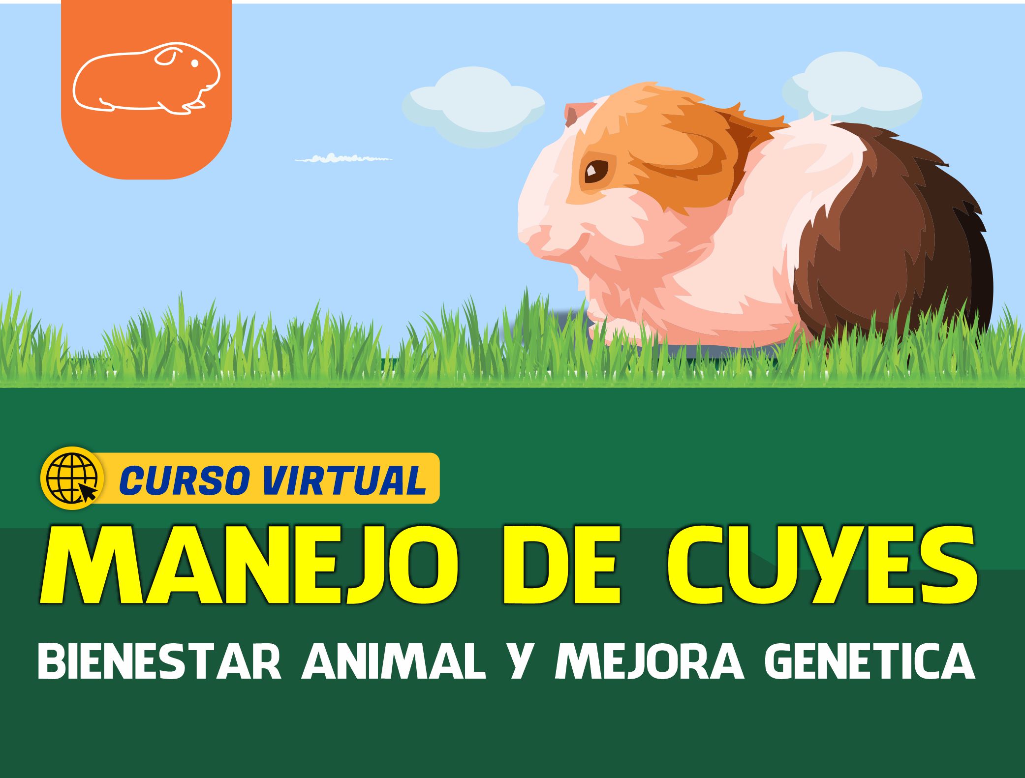 Curso Virtual: Manejo de Cuyes – Bienestar Animal y Mejora Genética